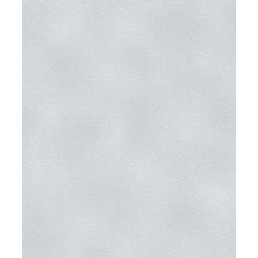 Rasch 450675 обои